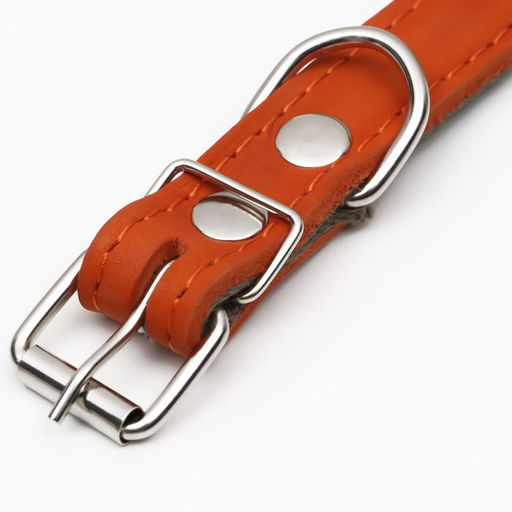 Ошейник комбинированный кожа/брезент, безразмерный, 54 х 2.5 см, ОШ 17-45 см, рыжий - Пижон фото 4