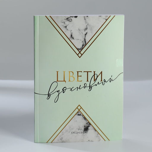 Канцелярский набор Античность: 5 предметов - Artfox фото 7