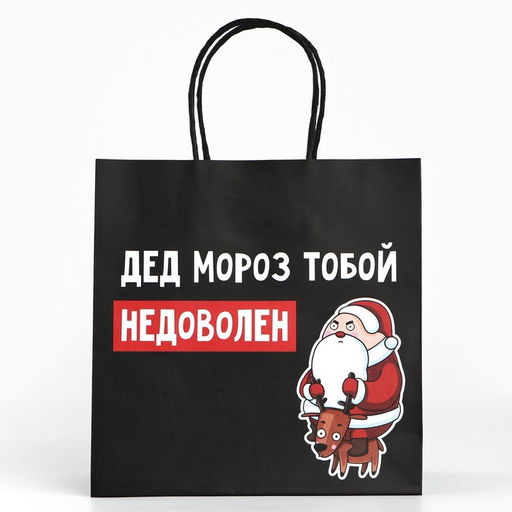 Цена за 2 шт. Пакет подарочный новогодний «Подарок, который ты заслужил», 22×22×11 см