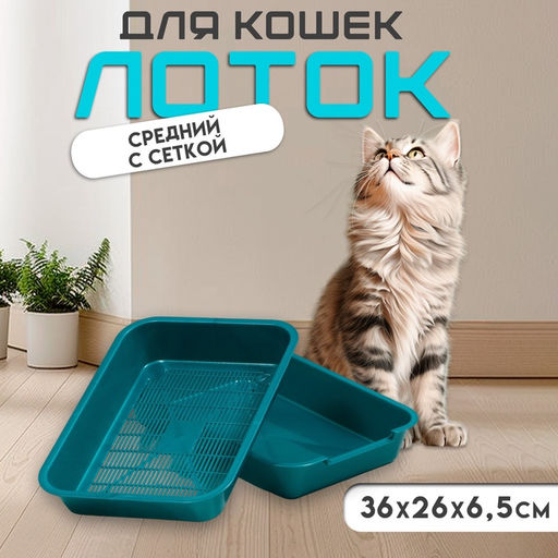 Туалет перламутровый средний с сеткой 36×26×6.5 см, бирюзовый