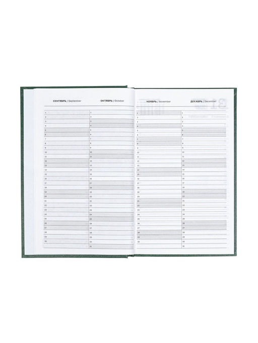 Ежедневник датированный Calligrata, А5, 2026, твёрдая обложка из бумвинила, 168 листов, тёмно-зелёный