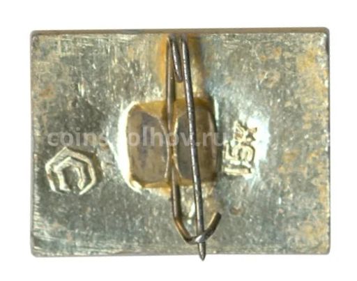 Значок ВДНХ СССР