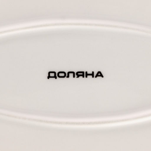 Блюдо Доляна «Млечный путь», 29.5×17.5 см, фарфор, белая в крапинку