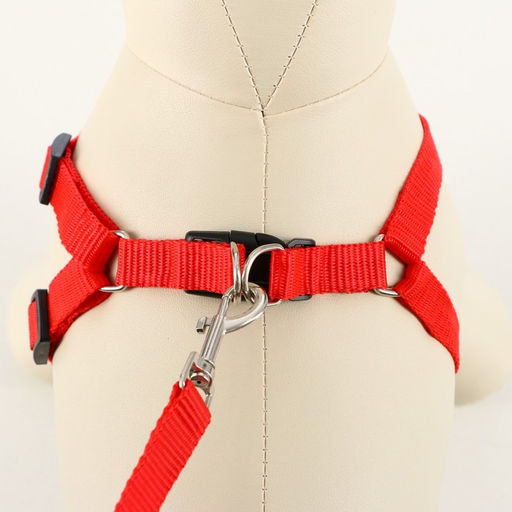 Комплект Базис, поводок 120 х 1,5 см, ОГ 32-46 см, красный - Пижон фото 2