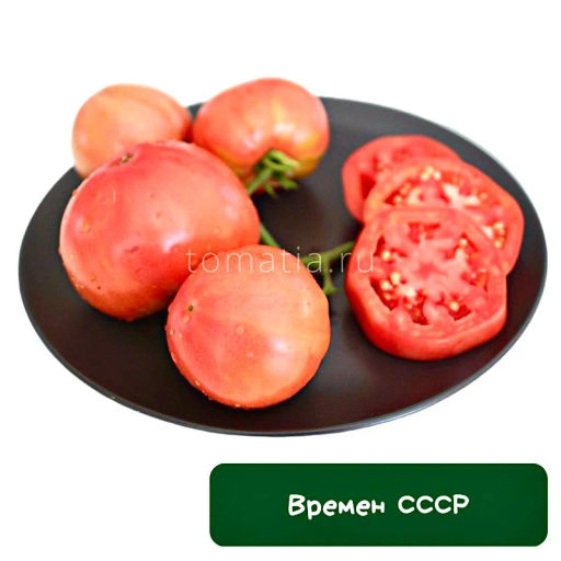 Времен СССР