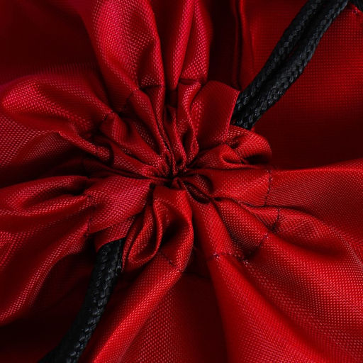 Сумка для обуви Кеды, 2 секции, 41х31 см - Artfox study фото 5