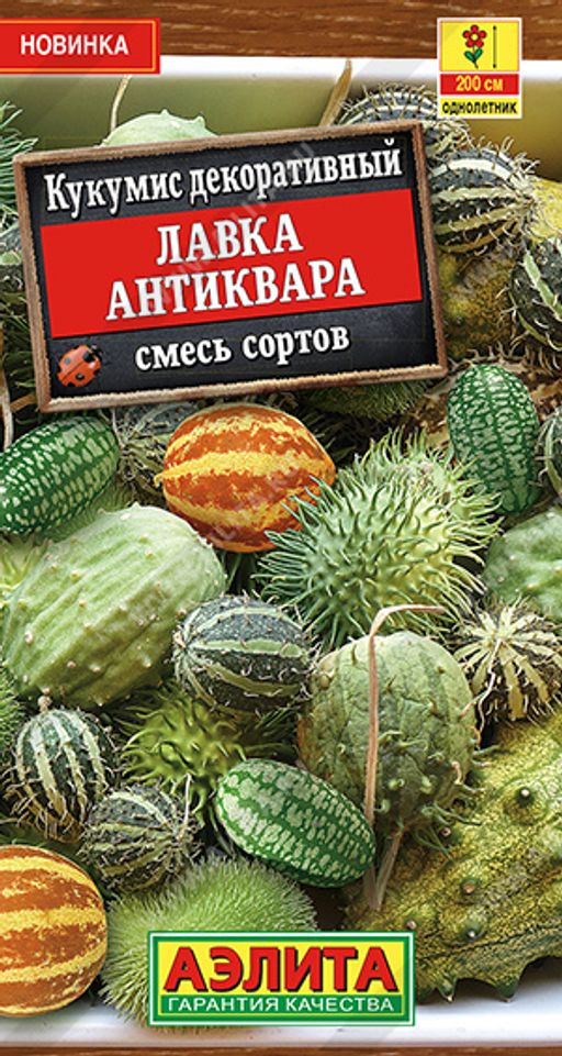 Кукумис декоративный Лавка антиквара, смесь сортов --- Одн