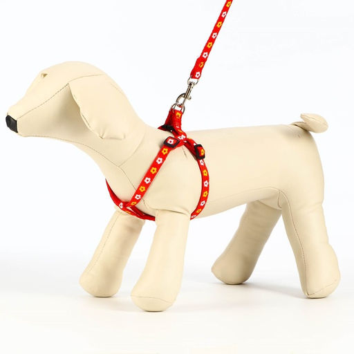 Комплект прошитый Цветы, поводок 120 х 1 см, ОГ 23-35 см, красный - Пижон фото 3