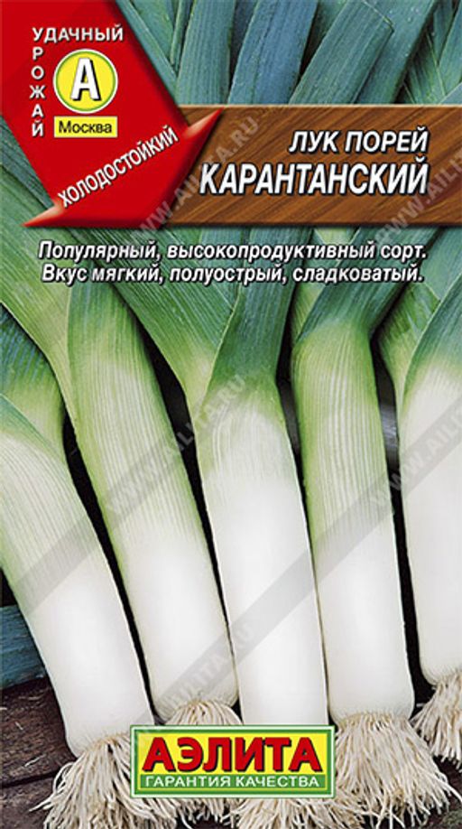 Лук порей Карантанский