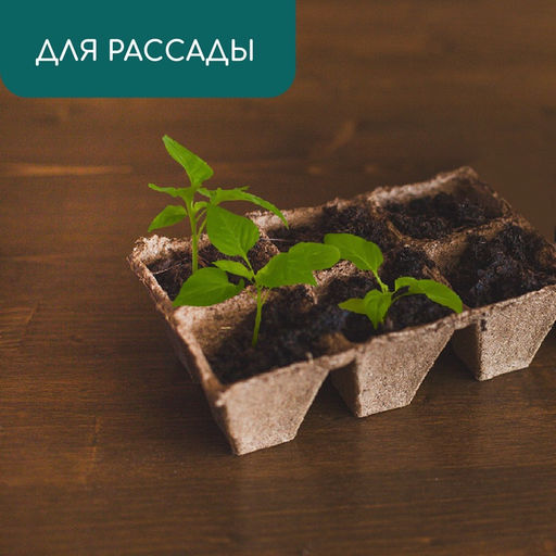 Цена за 39 шт. Кассета для рассады, 28 × 20 × 9 см, 6 ячеек по 400 мл, торф, 9 × 9 см