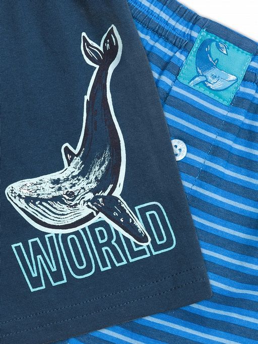 BUB3223(2шт. в упаковке) трусы для мальчиков - Pelican фото 2