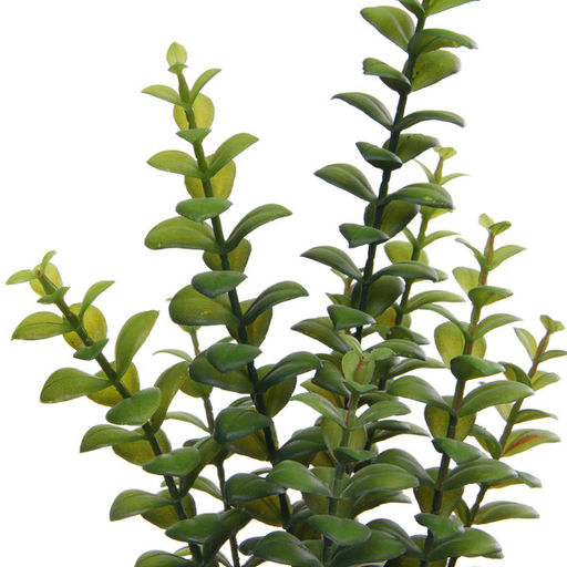 Цветок искусственный в горшке "Крассула" 35см