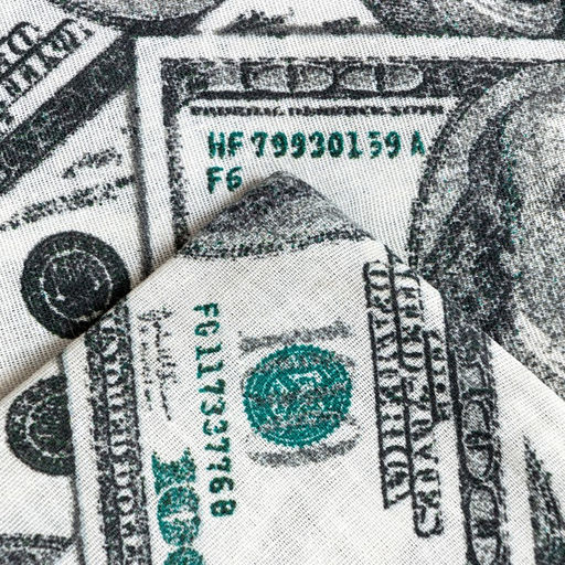 Постельное бельё Этель дуэт Cash 143х215 см 2 шт, 220х240 см, 70х70 см -2 шт, бязь 125 г/м2  фото 4