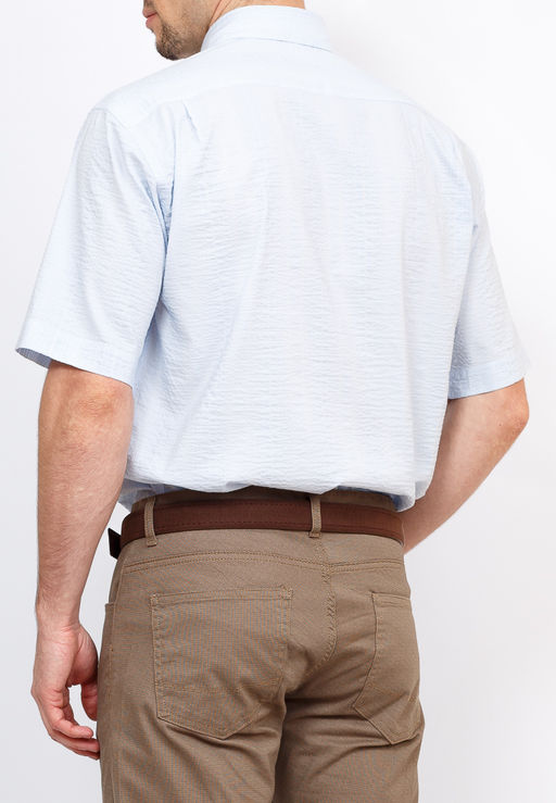 Сорочка мужская короткий рукав GREG Gb211/309/320  фото 2