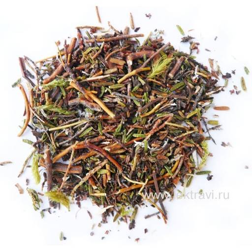 Шикша в фильтр-пакетах - Мариславна фото 5