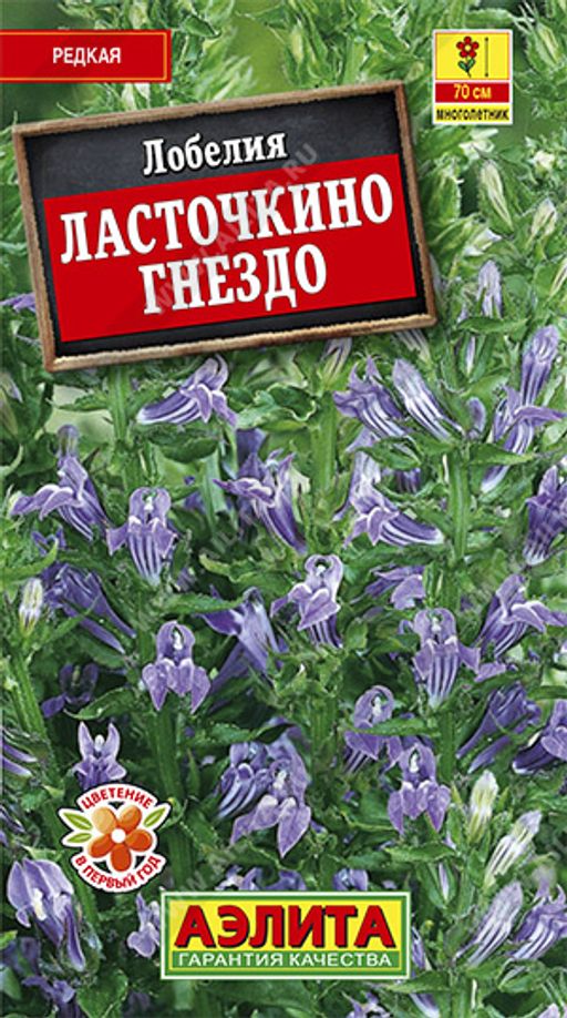 Лобелия Ласточкино гнездо (2023)