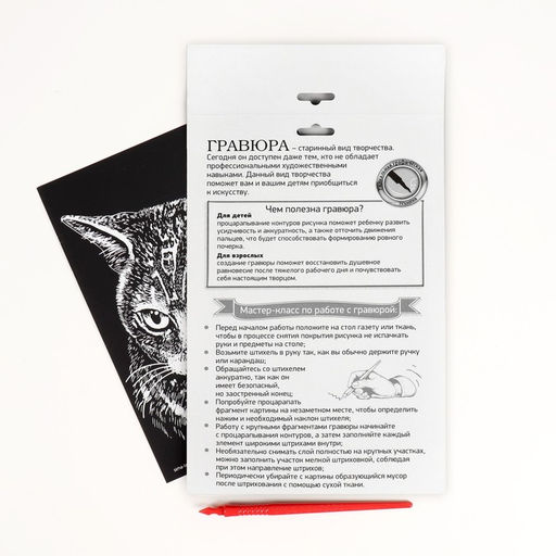 Цена за 6 шт. Гравюра «Британская кошка» с металлическим эффектом серебра А5