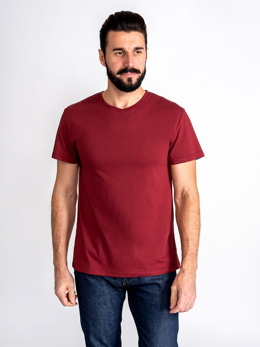 Футболка мужская короткий рукав GREG G146-RD-1061_R (бордовый)  фото 7