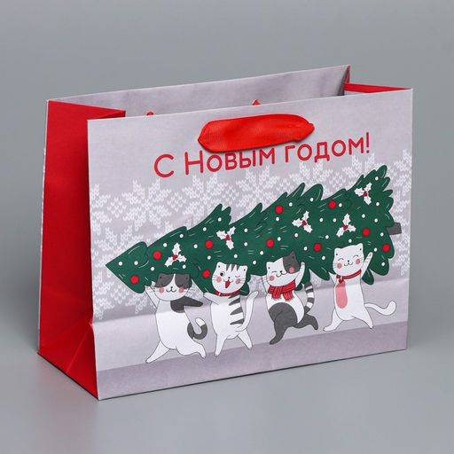 Цена за 2 шт. Пакет подарочный новогодний крафтовый «Спешу к тебе», MS 23×18×10 см
