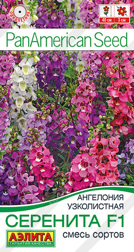 1177A Ангелония Серенита F1, смесь сортов 3шт
