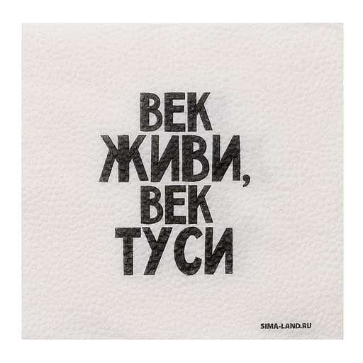 Салфетки бумажные однослойные «Век живи, век туси» 24×24 см, набор 20 шт.