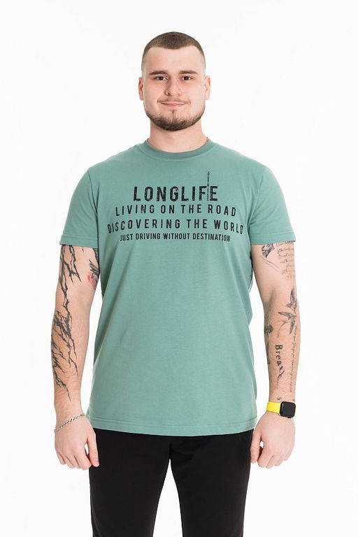 Футболка М122016Пв полынь