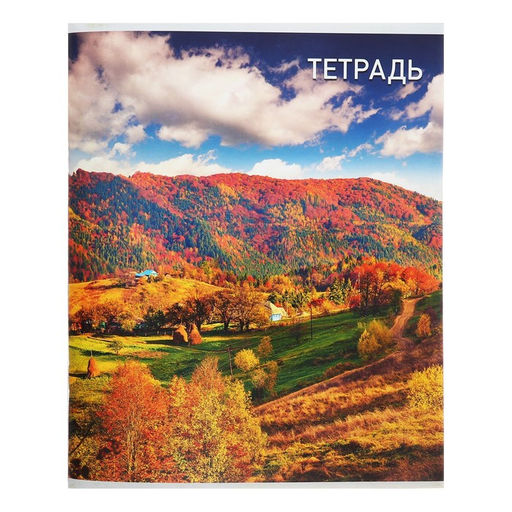 Тетрадь 96 листов в клетку Calligrata Природа, обложка мелованный картон, блок №2, белизна 75% (серые листы), МИКС  фото 5