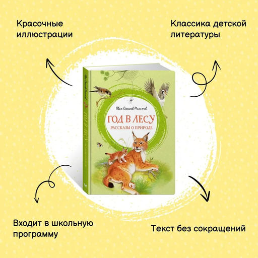 Год в лесу. Рассказы о природе. Соколов-Микитов И. - Махаон фото 2