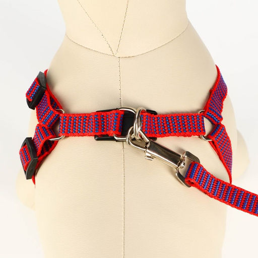 Комплект амуниции рельефный, поводок 120 х 1,5 см, ОГ 36-49 см, красно-синий - Пижон фото 4