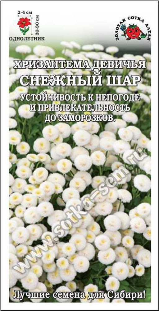 Хризантема Снежный шар 0,05г (Золотая сотка Алтая)