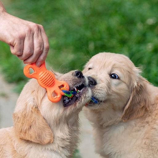 Игрушка жевательная с канатом Косточка на привязи, 9,5 см, розовая - Пижон фото 6