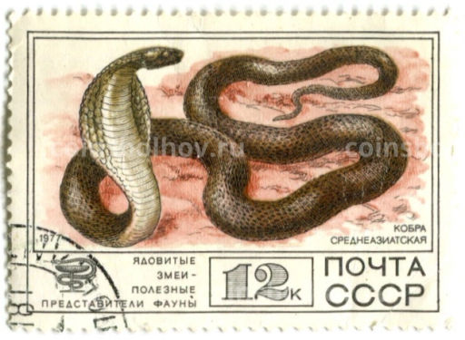 Марка Ядовитые змеи  Кобра среднеазиатская 1977 год