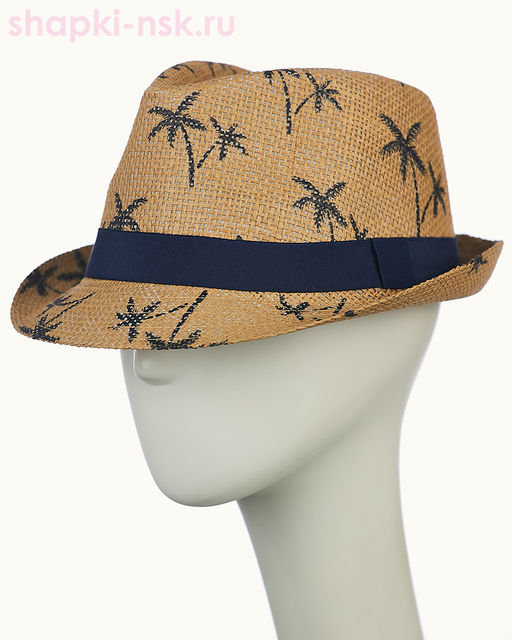 23804 Шляпа мужская (58)