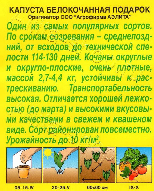 Капуста б/к Подарок 0,5г (Аэлита, серия Лидер)