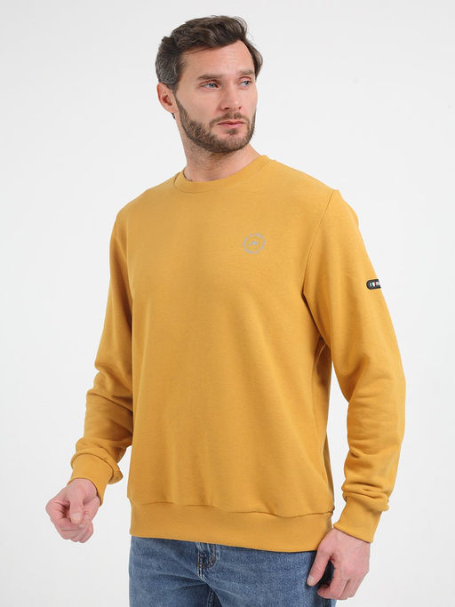 Толстовка мужская _ 05198 - F5 фото 2