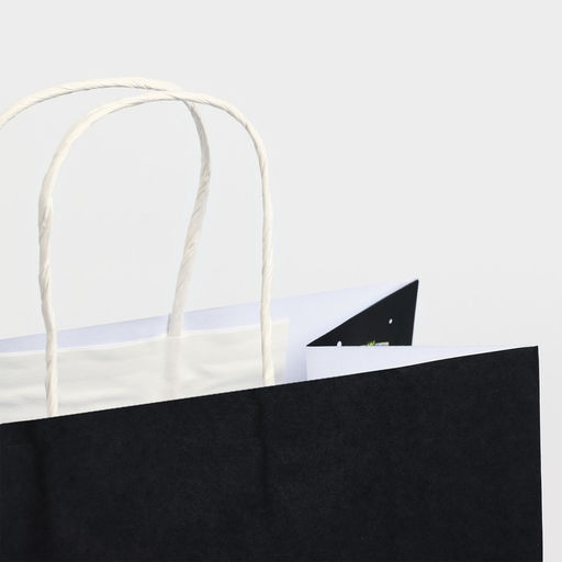 Пакет подарочный новогодний крафтовый «Пакет с сюрпризом», 28×32×15 см