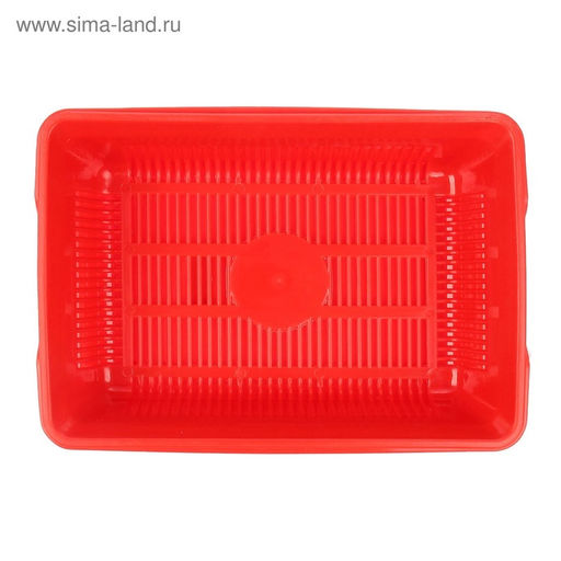 Туалет глубокий с сеткой 36×25×9 см, красный