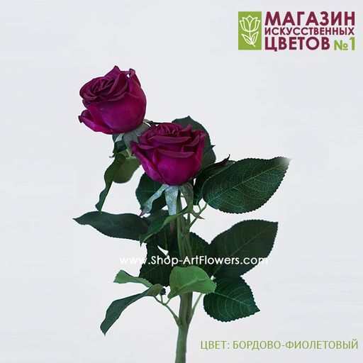 075 Роза двойная пионовидная - Без тм фото 8