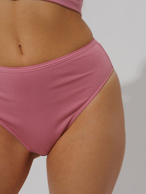 Трусы женские слипы с высокой посадкой Lingeamo брусничные ЛС-14 (22)  фото 2