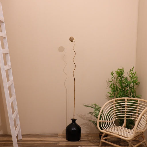 Сухоцвет,150 см, натуральный