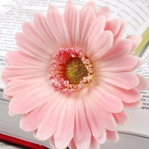 Цветок искусственный Гербера 43 см розовый / 1501 /уп 56/560/ латэкс - ГалеонТрейд фото 3