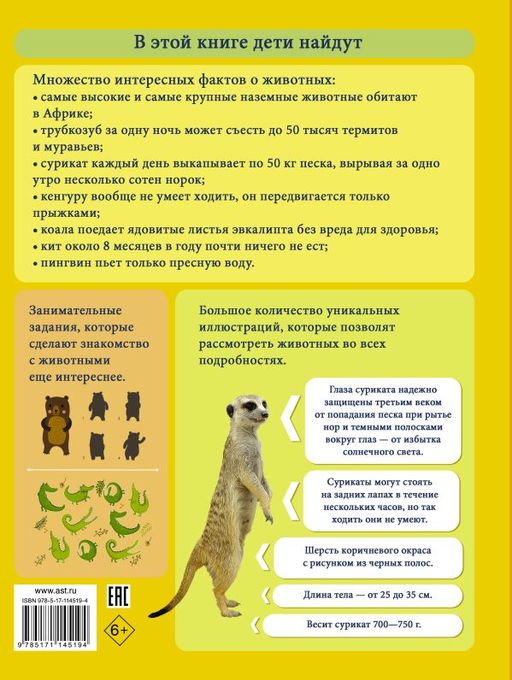 Моя первая большая книга о животных - Аст фото 2