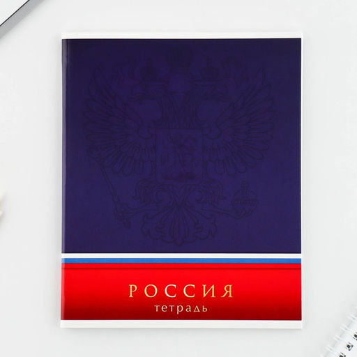 Тетрадь А5, 48 л на скрепке МИКС Шрифтовые яркие, обложка мелованный картон 230 гр., внутренний блок №1, в клетку 80 гр., белизна 96% - Artfox study фото 8