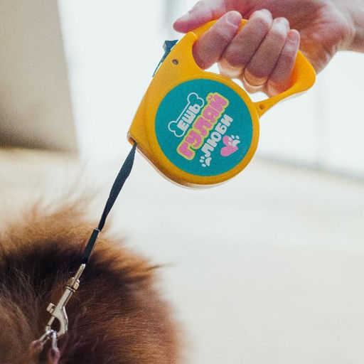 Рулетка Ешь, гуляй, люби 3 м - Пушистое счастье фото 10