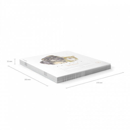 Цена за 280 шт. Тетрадь школьная ученическая ErichKrause Дружба, 12 листов, линейка (в плёнке по 10 шт.)  фото 22