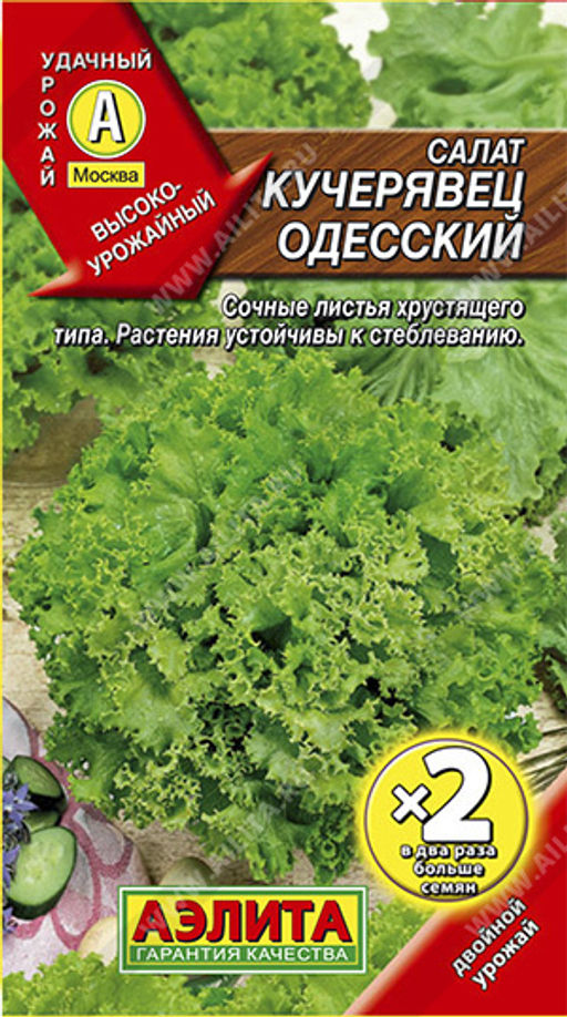 ДВОЙНАЯ ГРАММОВКА Салат Кучерявец Одесский полукочанный