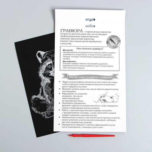 Гравюра на подложке Енот с металлическим эффектом серебро А4 - Школа талантов фото 4