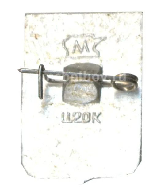 Значок Липецк