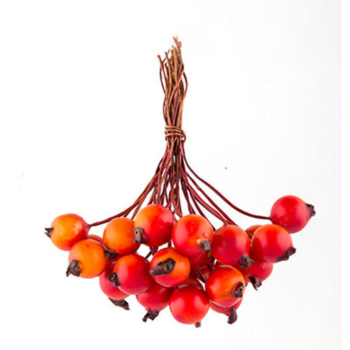 Mr.Painter PFF-04 Декоративные элементы Ягоды 6 х 24 шт