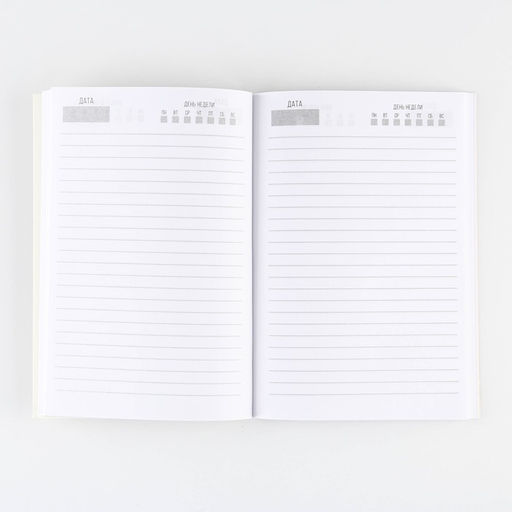 Подарочный набор новогодний, ежедневник и ручка «Время сиять»